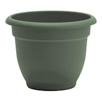 Ariana Basil Outdoor Planter, 8"