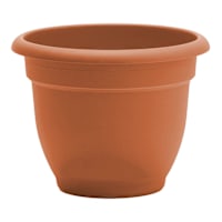 Ariana Terracotta Outdoor Planter, 6"