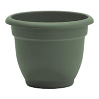 Ariana Basil Outdoor Planter, 12"