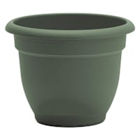 Ariana Basil Outdoor Planter, 10"