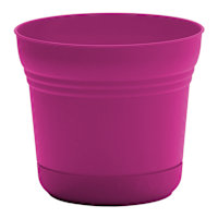12-Pack Saturn Fuchsia Planter, 7"