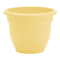 Ariana Daffodil Outdoor Planter, 10"