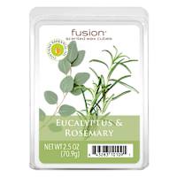 Eucalyptus & Rosemary Scented Wax Melts, 2.5oz