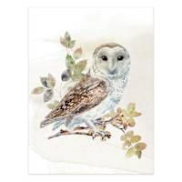 Honeybloom Owl Canvas Wall Art, 12x16