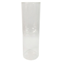 Clear Double Wall Glass Vase, 13"