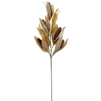 Corn Stem, 31"