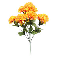 Marigold Bush X 10