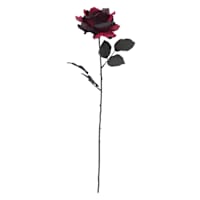 Midnight Shadows Rose Stem