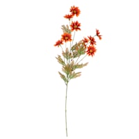 Daisy Pick, 31.5"