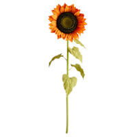 Orange Oversized Sunflower Stem, 49"