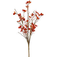 Orange Wildflower Bush, 20"