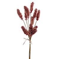 Orange Pinecone Bush, 20"
