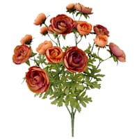Ranunculus Bush X18