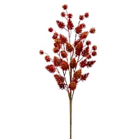 20In Pinecone Bush Ye