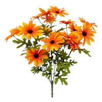 Daisy Bush x20
