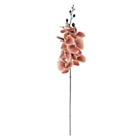 Brown Orchid Spray, 33"