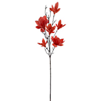 Red Magnolia Stem, 38"