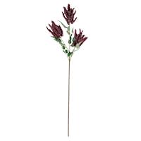 Burgundy Wheat Stem, 36"