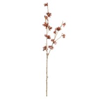 Moss Branch, 39"