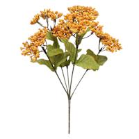 Queen Ann's Lace Bush X6