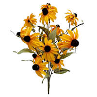 19 Black Eye Susan Bush Yel