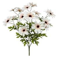 Daisy Bush X20