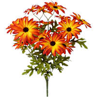 Orange 20-Head Daisy Bush, 18"
