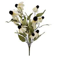 Cream Black Eye Susan Bush, 19"
