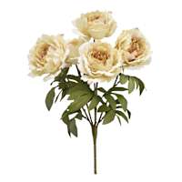 20In Peony Bush Ivory