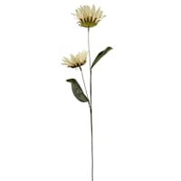 28In Sunflower Stem Cr