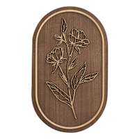 Brown & White Flower Wall Art, 12x20