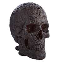 LED Molted Skull, 15"