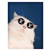 Cool Cat Canvas Wall Art, 16x12