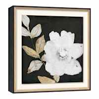 Glass Framed Floral Print Wall Art, 19"
