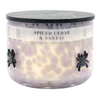 Spiced Cedar & Santal Scented Spider Icon Jar Candle, 12oz