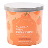 Pumpkin Spice Everything Scented Jar Candle, 13oz