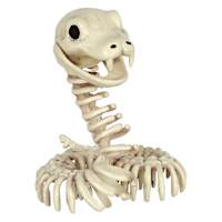 Large Cut Skeleton Snake