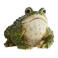 Grim Gardens Green Toad, 15"