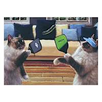 Pickleball Players Cats Canvas Wall Art, 16x12