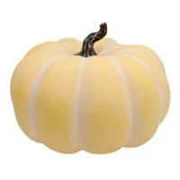 10In Yellow Pumpkin