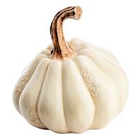 White Pumpkin, 6"