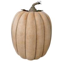 Homespun Harvest Orange Pumpkin, 19"