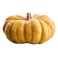 Yellow Pumpkin, 5.9"