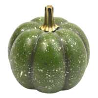 Green Speckled Pumpkin, 4"