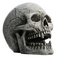 Midnight Shadows Skull with LED Eyes, 8.5"