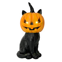 Happy Haunting Sitting Cat with Pumpkin Face