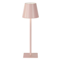 Pink Indoor & Outdoor USB Rechargeable Lamp, 14"