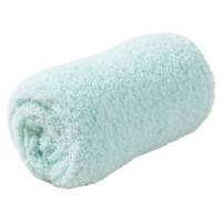 Mint Sherpa Throw Blanket, 50x60