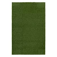 Artificial Turf, 24x36