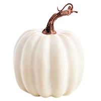 Set of 4 Pumpkin Coasters